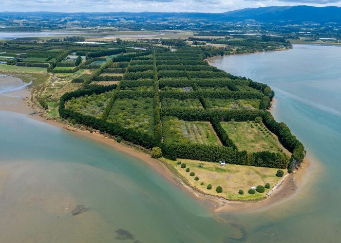  at 405 - 419 Matahui Road, Aongatete, Western Bay Of Plenty, Bay Of Plenty