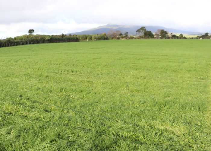  at 192-194 Dover Road, Okato, New Plymouth, Taranaki