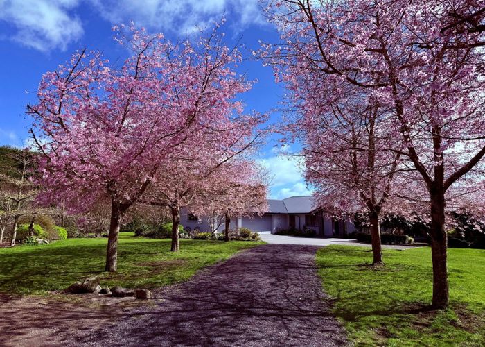  at 85A Castles Road, Oropi, Western Bay Of Plenty, Bay Of Plenty