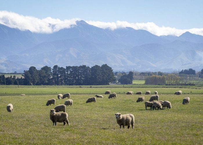  at 593 East Taratahi Road, East Taratahi