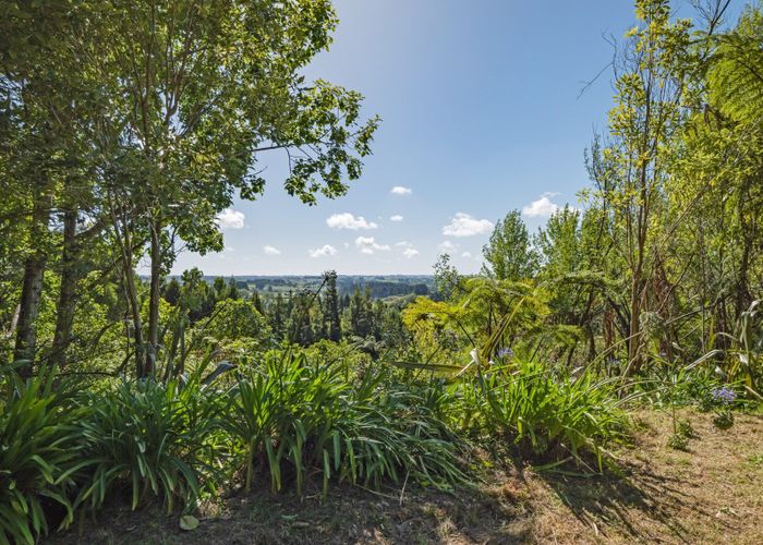  at 0 Wallace Loop Rd, Koputaroa, Shannon