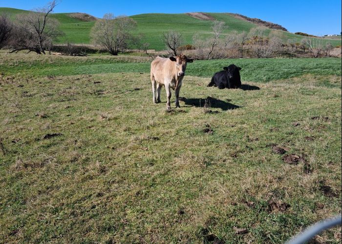  at 428 Whartons Road, Island Stream, Oamaru