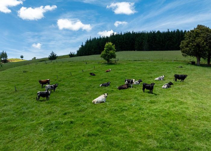  at 1325 Paparoa-Oakleigh Road, Paparoa, Kaipara, Northland