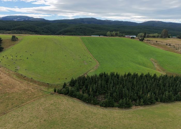  at 158 Kowhatu Road, Waimate, Waimate, Canterbury