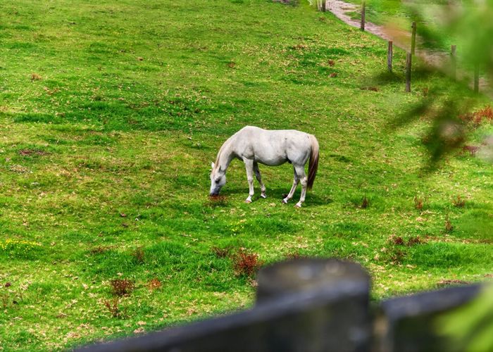  at 1014 South Head Road, South Head, Helensville, Rodney, Auckland