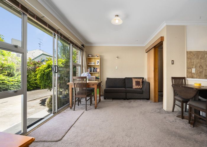  at 8B Greerton Road, Gate Pa, Tauranga, Bay Of Plenty