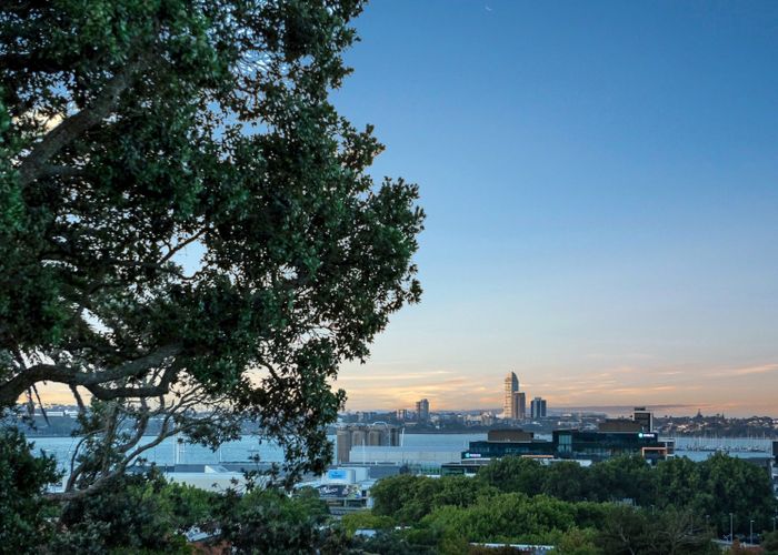  at 42 Picton Street, Freemans Bay, Auckland City, Auckland