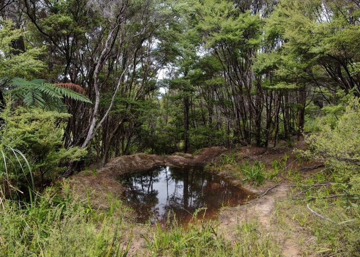  at 1248A Oruru Road, Peria, Far North, Northland