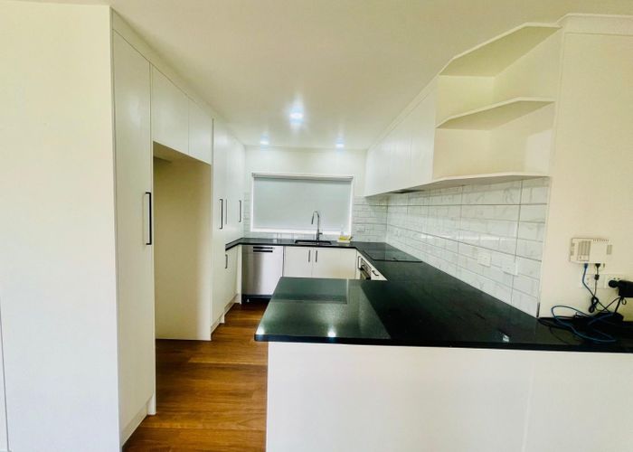  at 25A Wairakei Street, Greenlane, Auckland