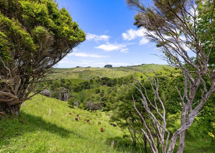  at Te Akau Coast Road, Te Akau, Waikato, Waikato