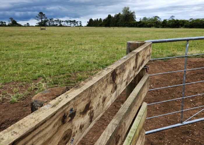  at 454 Norfolk Road, Inglewood, New Plymouth, Taranaki