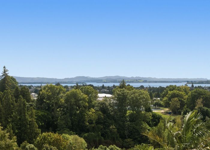  at 16 Dysart Road, Otumoetai, Tauranga, Bay Of Plenty