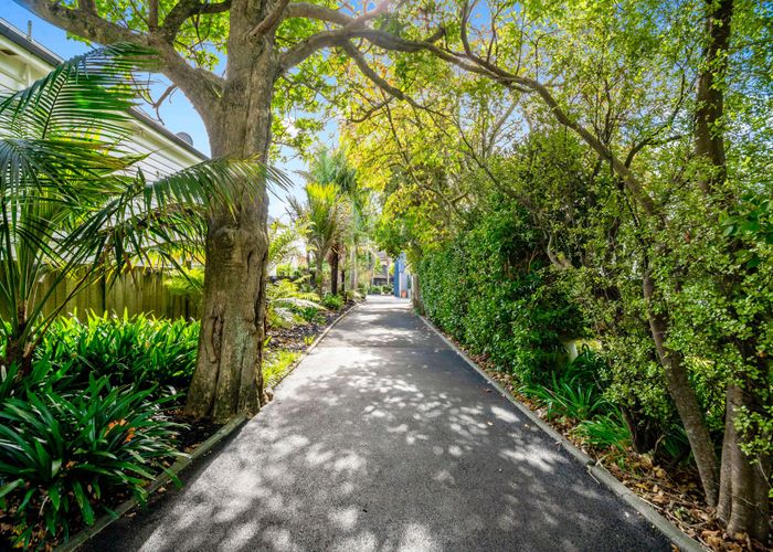  at 12 Wapiti Avenue, Epsom, Auckland