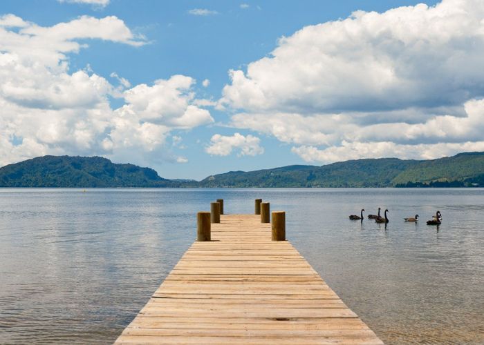  at 919D State Highway 30, Rotoiti, Rotorua, Bay Of Plenty