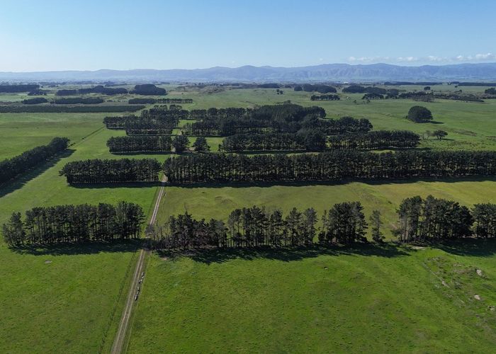  at 265 Paranui Road, Foxton, Horowhenua, Manawatu / Whanganui