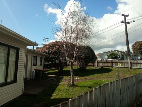  at 2 James Rd, Manurewa, Manukau City, Auckland