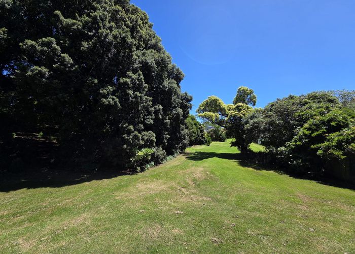  at 13  Torino Street, Point England, Auckland City, Auckland