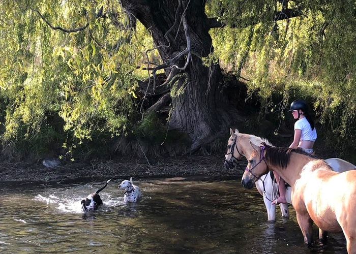  at 745 Ardgour Road, Tarras, Central Otago, Otago