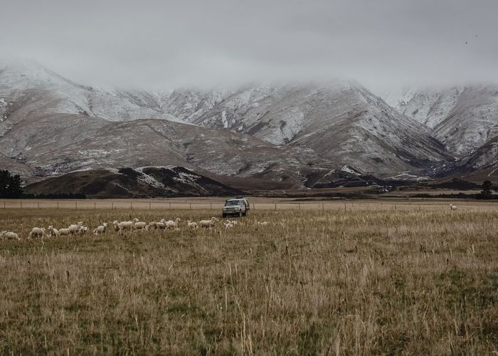  at 0 Shortlands Station, Kyeburn, Central Otago, Otago