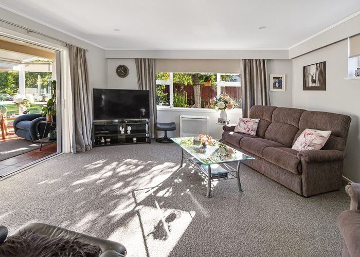  at 17 Hinau Place, Glenwood, Timaru, Canterbury