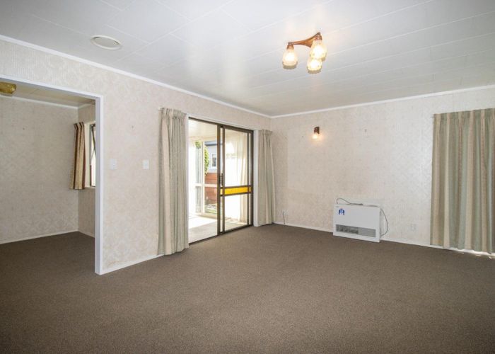  at 224 Albert Street, Hokowhitu, Palmerston North, Manawatu / Whanganui