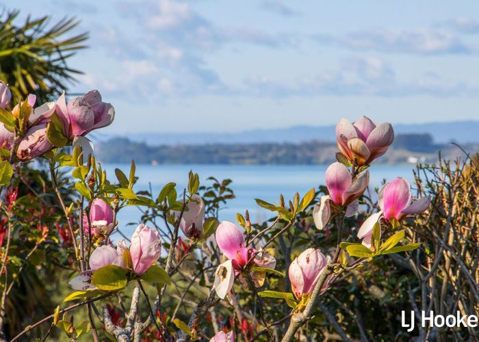  at 21 Koutunui Road, Athenree, Waihi Beach