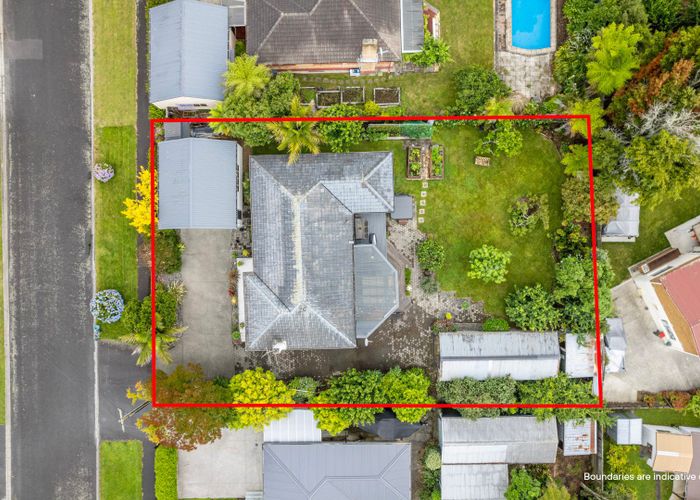  at 19 Bailey Avenue, Claudelands, Hamilton