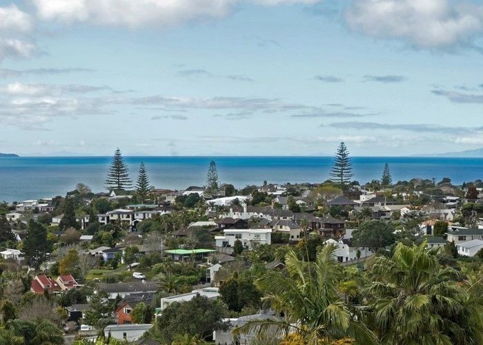  at 173 Kowhai Road, Mairangi Bay, Auckland