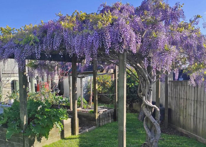  at 10 Aldon Lane, The Gardens, Auckland