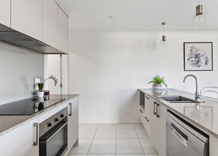  at 53 Pragma Rise, Rototuna, Hamilton, Waikato