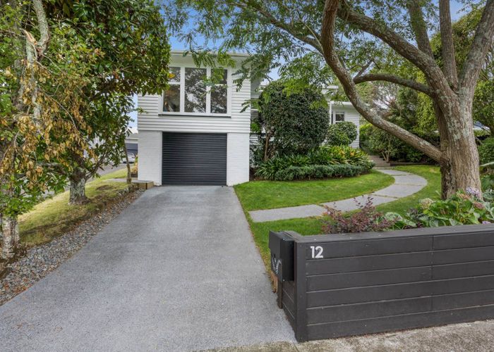  at 12  Appleyard Crescent, Meadowbank, Auckland City, Auckland