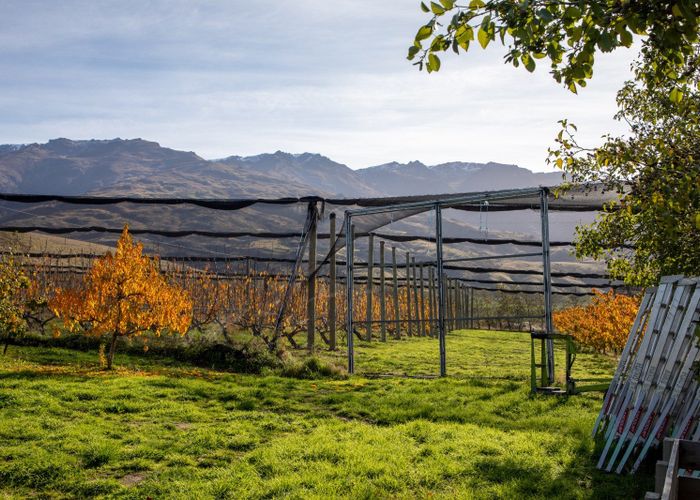  at 41 Cooper Lane, Cromwell, Central Otago, Otago