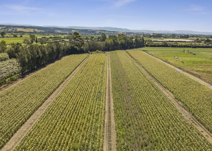  at 444 Paton Road, Hope, Tasman, Nelson / Tasman