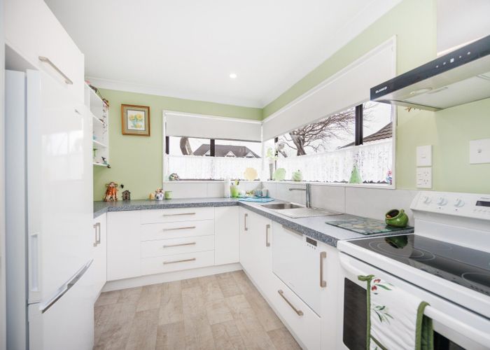  at 15 Mcarthur Street, Terrace End, Palmerston North, Manawatu / Whanganui