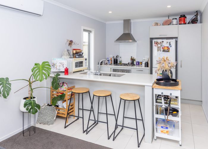  at 17 Taotahi Avenue, Dinsdale, Hamilton