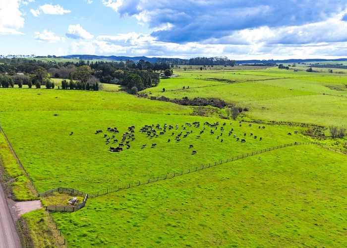  at 542 Mangakaretu Road, Okaihau, Far North, Northland