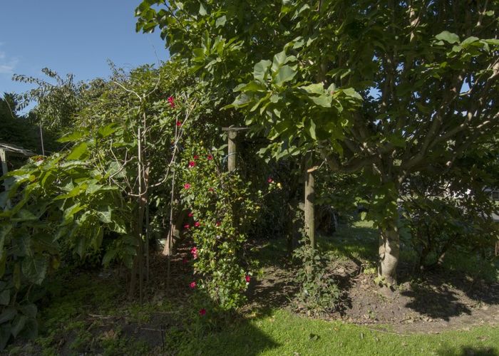  at 13 Malyon Street, Te Puke
