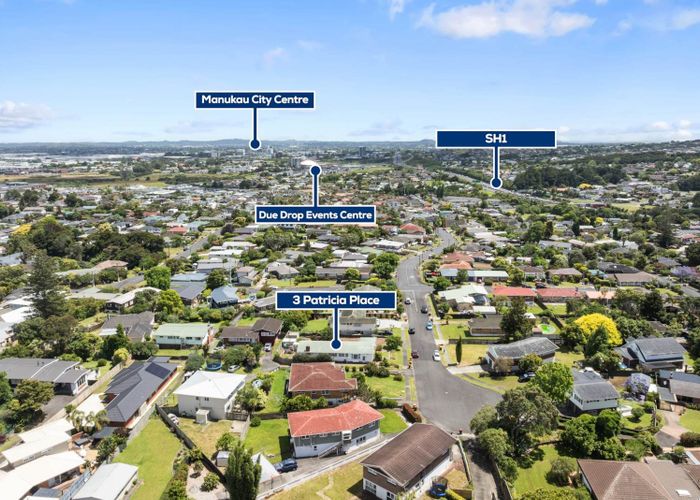  at 3 Patricia Place, Hill Park, Manukau City, Auckland