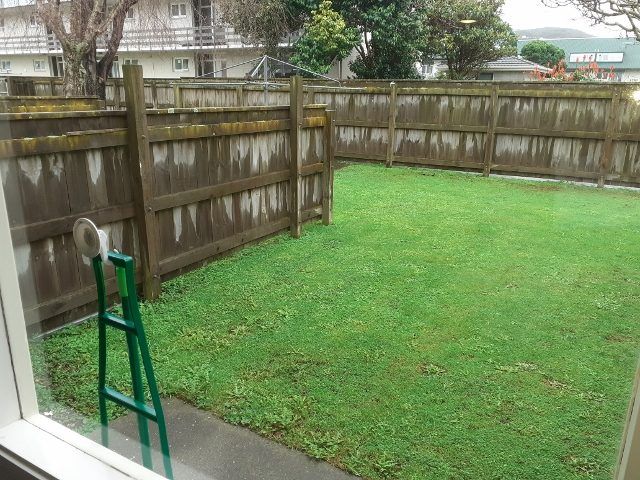  at 11e Britannia Street, Petone, Lower Hutt, Wellington