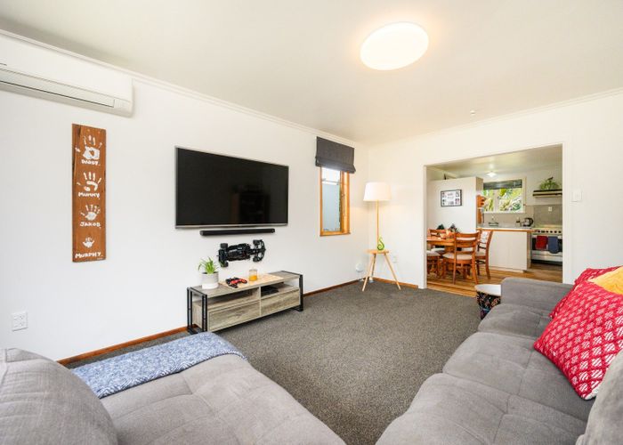  at 55 Parkland Crescent, Terrace End, Palmerston North
