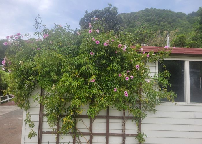  at 5 Amelia Crescent, Waikawa, Marlborough, Marlborough