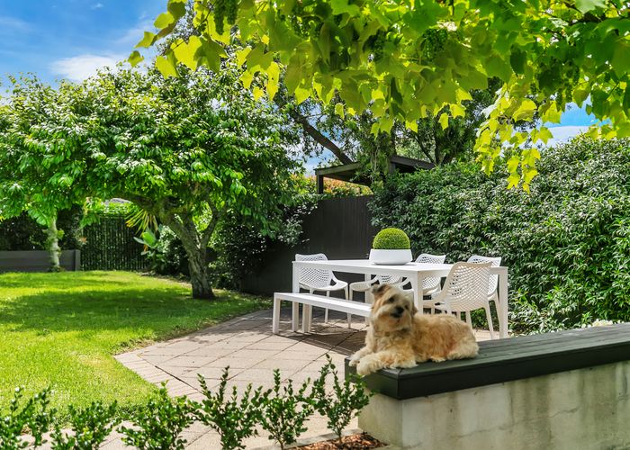  at 8 Finch Street, Morningside, Auckland