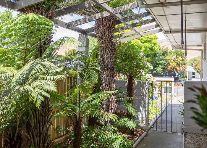  at 83 Wither Road, Witherlea, Blenheim