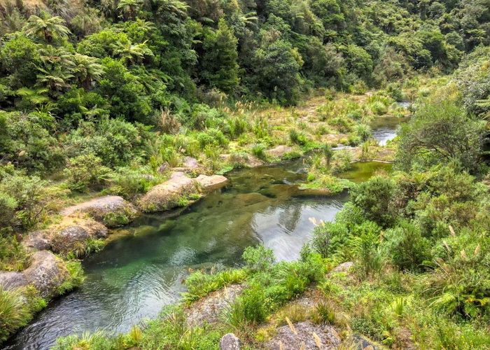  at 17 Sarona Park Drive, Tauranga