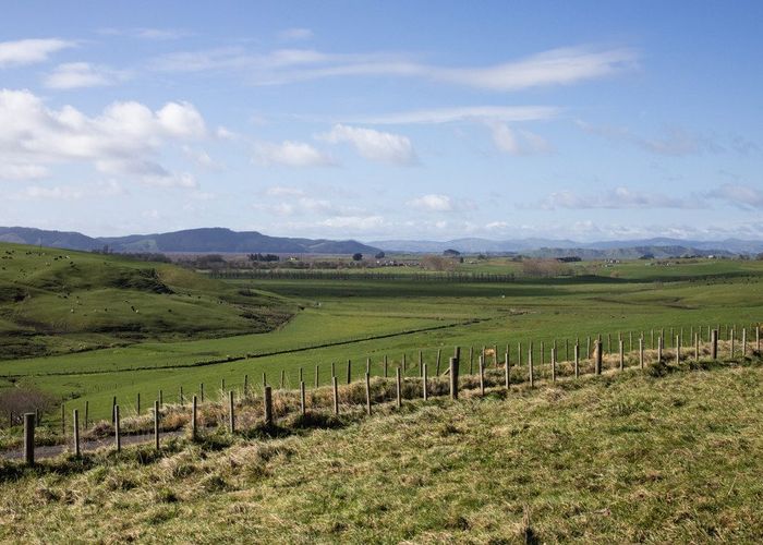  at 205 Springhill Road, Whangamarino, Te Kauwhata