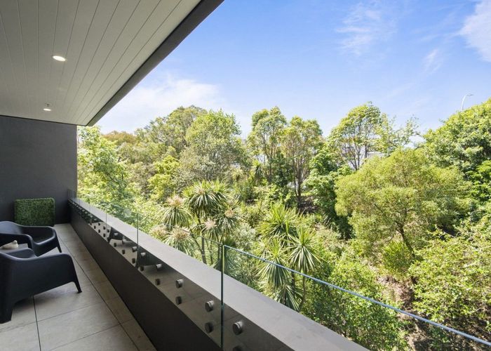  at 410/8 Kingsland Terrace, Kingsland, Auckland City, Auckland