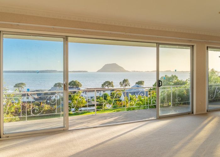  at 221 Ngatai Road, Otumoetai, Tauranga
