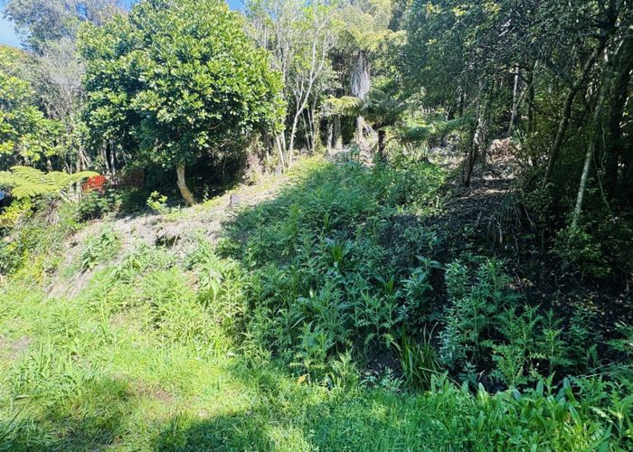  at 14 Huruhi Road, Oneroa, Waiheke Island, Auckland