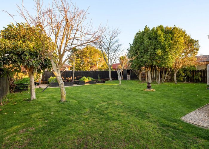  at 14 Bains Avenue, Hamilton East, Hamilton