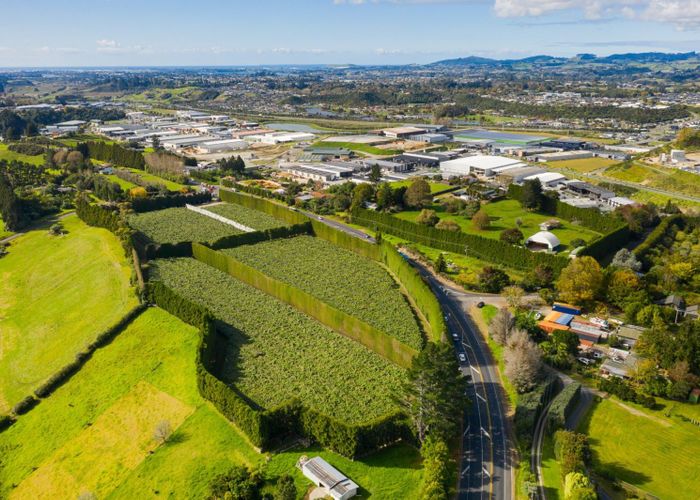  at 888 State Highway 29, TAURIKO, TAURANGA